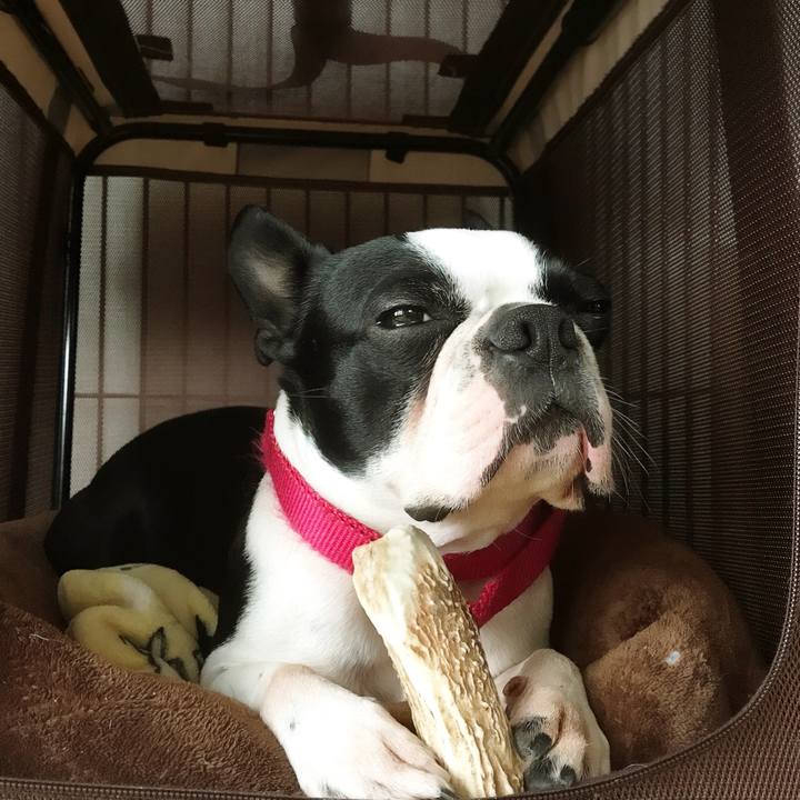 7f834b62 e147 4596 ba7a 5d789b4ef326 1516267094630