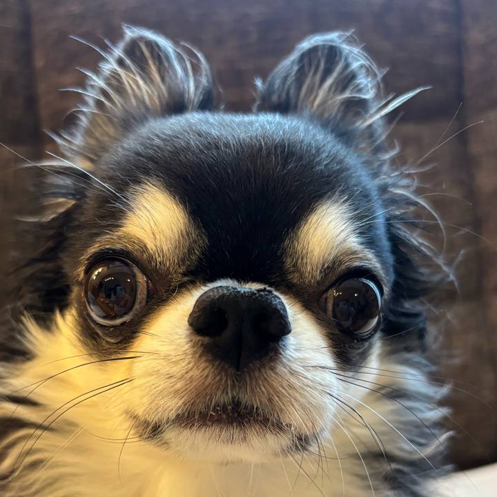 7f835e7a 5de1 4a87 8329 9424c31cbe1c 1756596509173