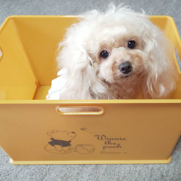 7f83e5f5 38a7 489e bf90 8b616ffc0cc4 1596891211880