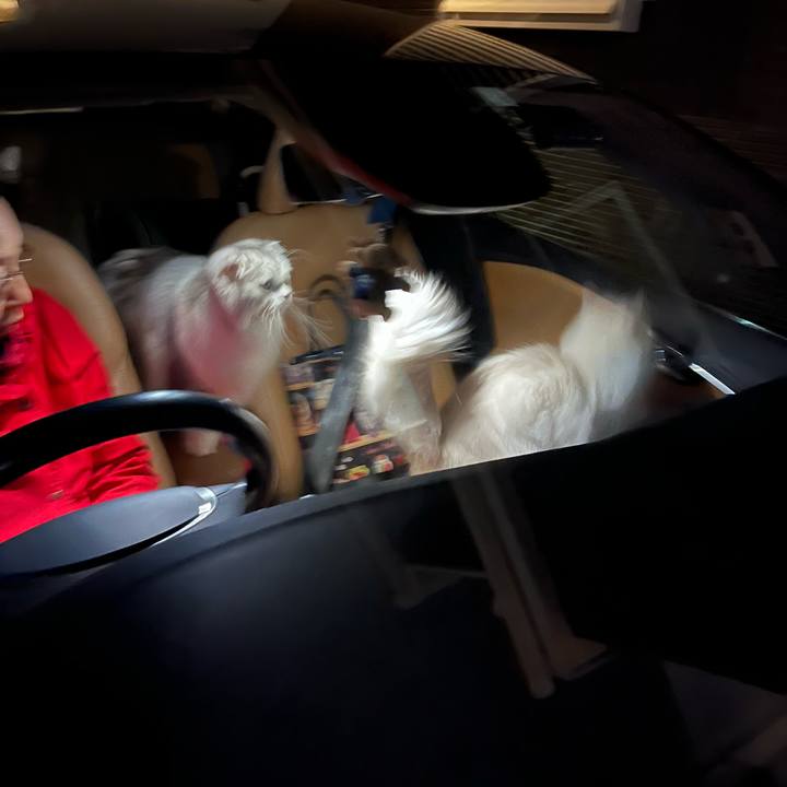 7f83f0f6 4417 4271 90a5 8951fb7e3a96 1702434102190