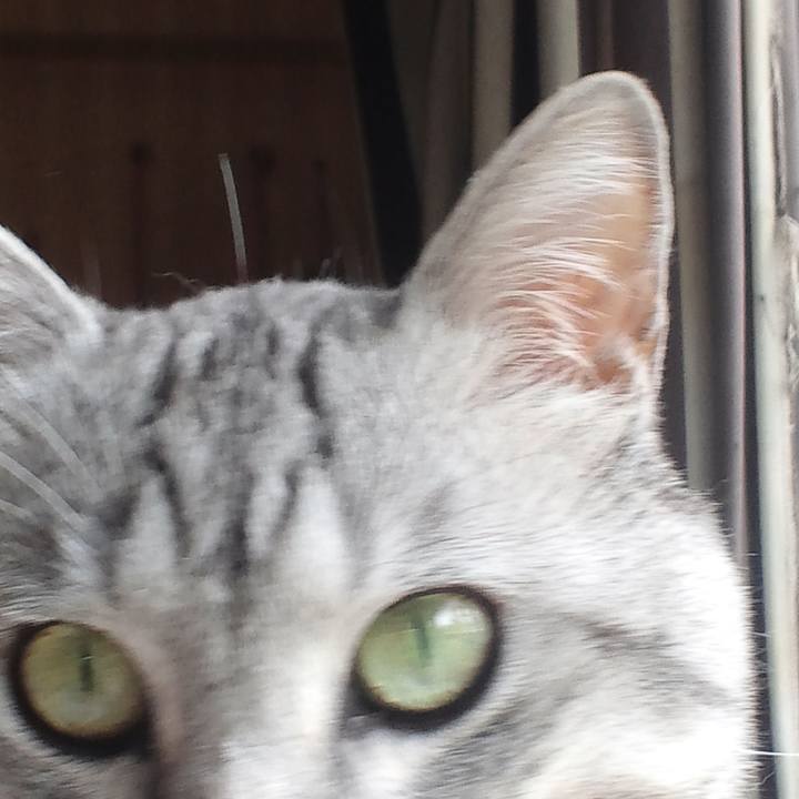 7f843f47 ca75 4576 a0d4 b212271b0f79 1560064133676