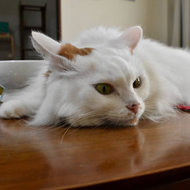 7f84481b 57eb 4f53 b33a aeb064e008bb 1758332426726