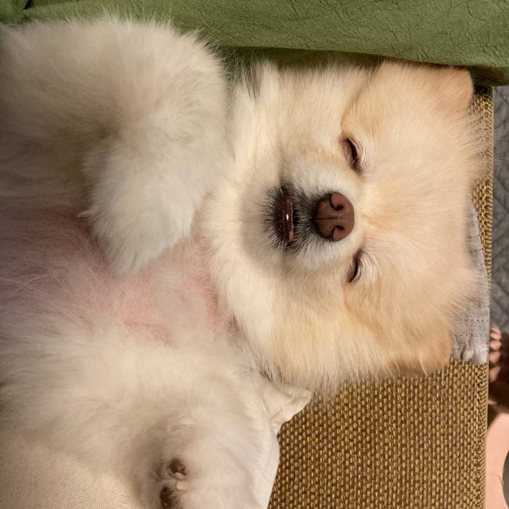 7f844f0c 4d74 4548 9eb2 816af73da227 1693695640008