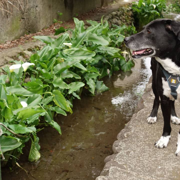 7f847062 a9dc 41cb a6e8 3ba538513454 1712104870808