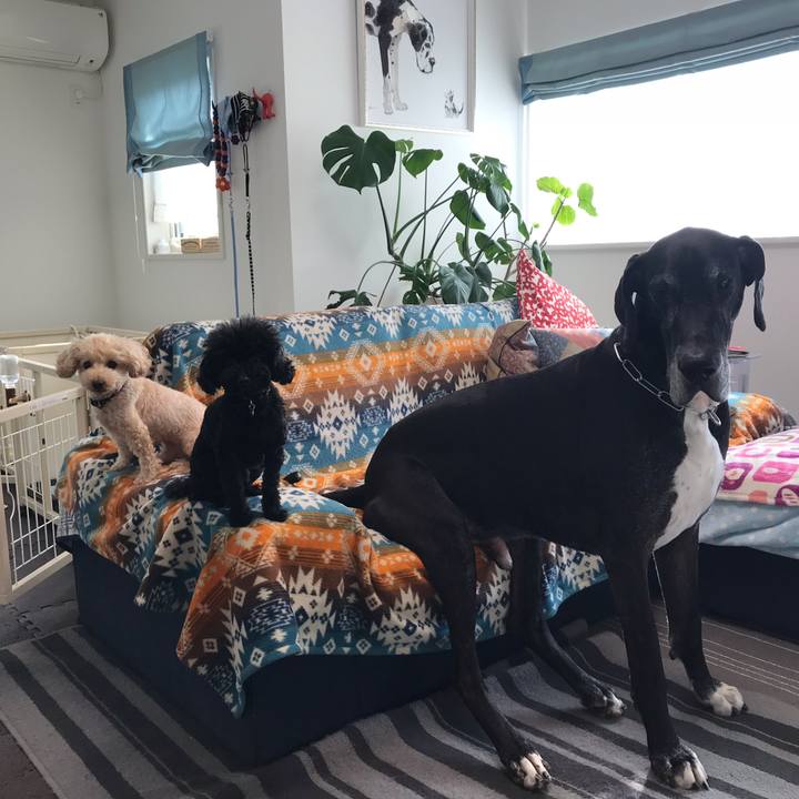 7f847b4f 8be1 47c0 8e0e 2eb92947a819 1539645046301