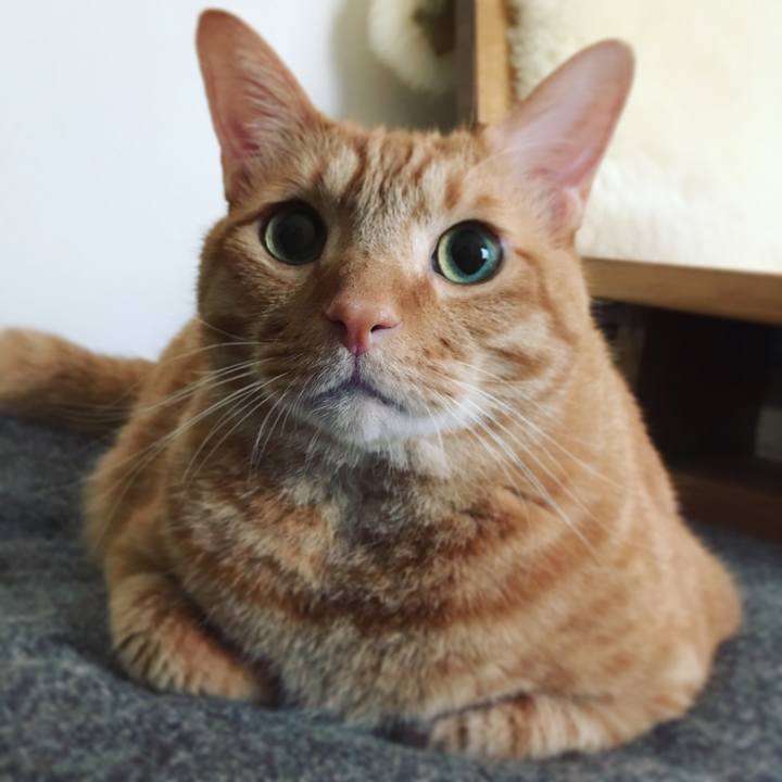 7f847eb0 a337 4dec 9002 b0992d5cec5d 1603935605280