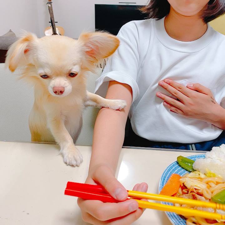 7f849a84 5407 4656 b2aa 24329cb2acae 1622207733170