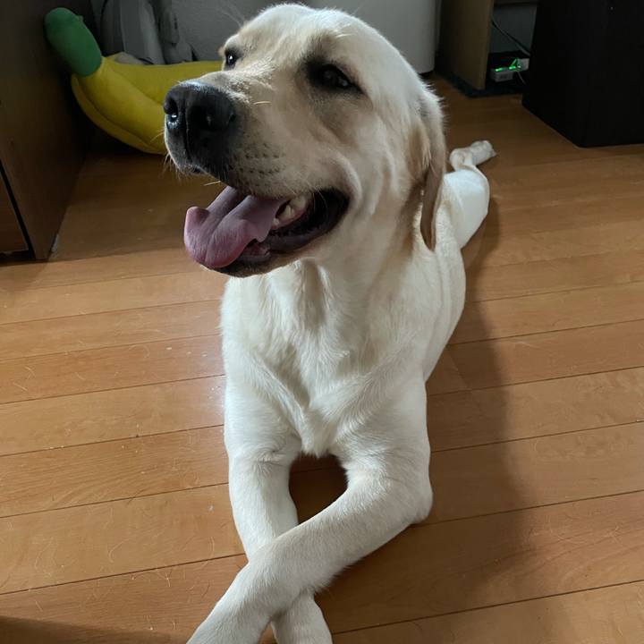 7f84f74f 45ae 4b4c a377 a577764931d7 1658875636727