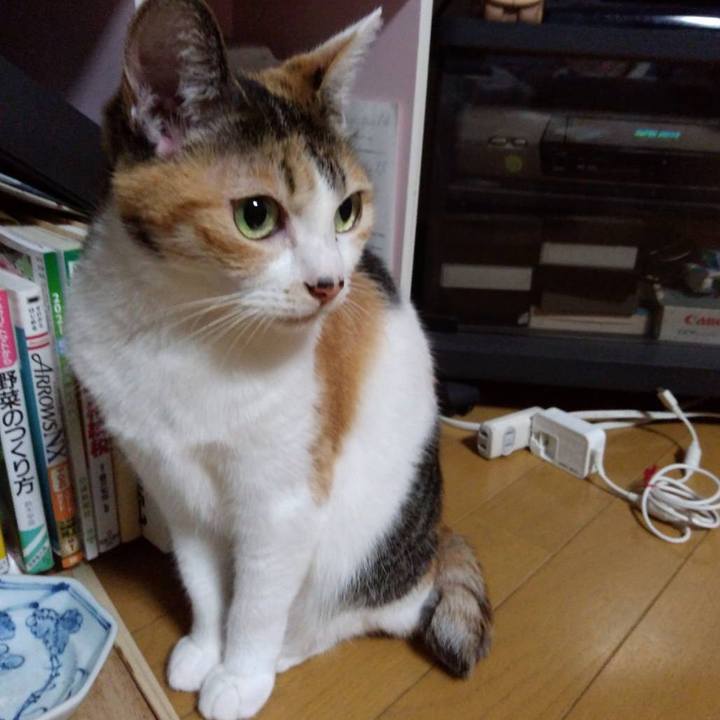 7f851ec3 d8d8 4b8f a440 bb29202ddc1e 1662032310211