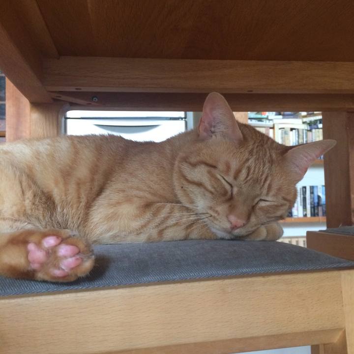 7f85211b a4dd 4a23 979a bda435aa837c 1568507474434