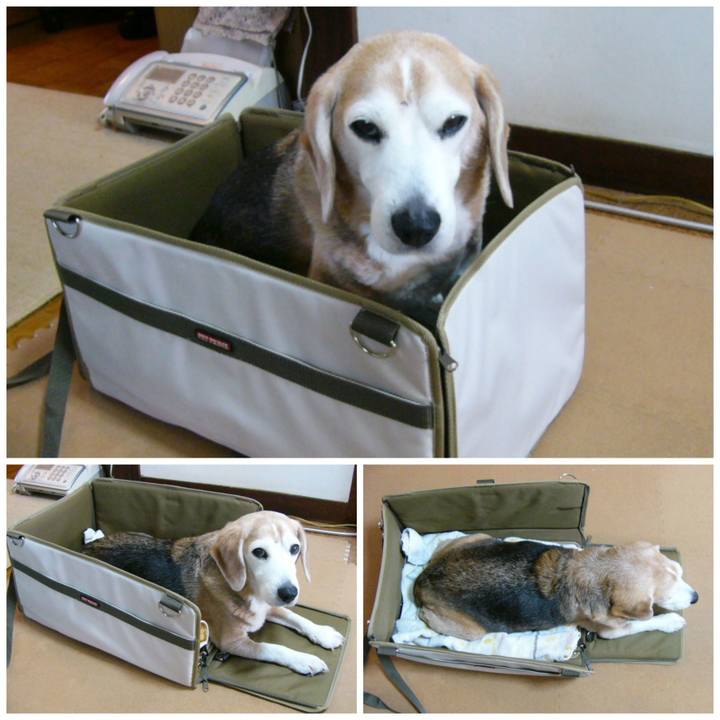 7f8547da 5050 4f18 8832 0482f8d08af7 1680830818271