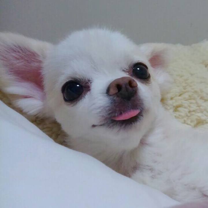 7f85487b 1cce 4b8c b27f 1749c9291876 1560687570742