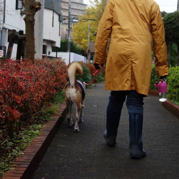 7f861cfc 39d8 4d66 87c8 aa8549ccd448 1575938744691