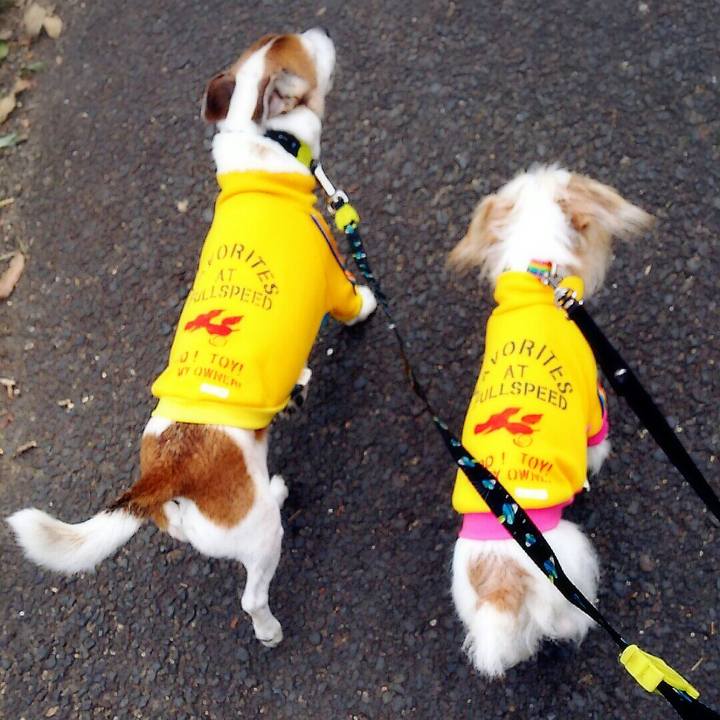 7f86995f e7ae 4f03 a53d eb6ff5dcff75 1520058724683