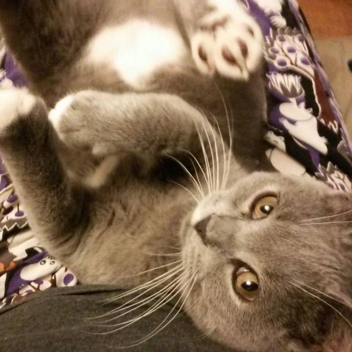 7f86d3bf cf4b 4778 b3a8 0434dbffd8d2 1536272358895