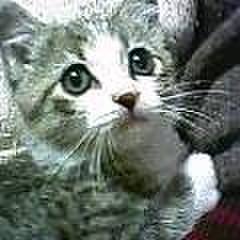 7f86dbe4 2037 4ce3 ae8e 0e1b92041c2d 1762058848920