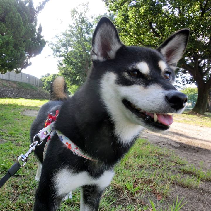 7f870329 00c4 4036 a65c c79679d0027e 1535583783868