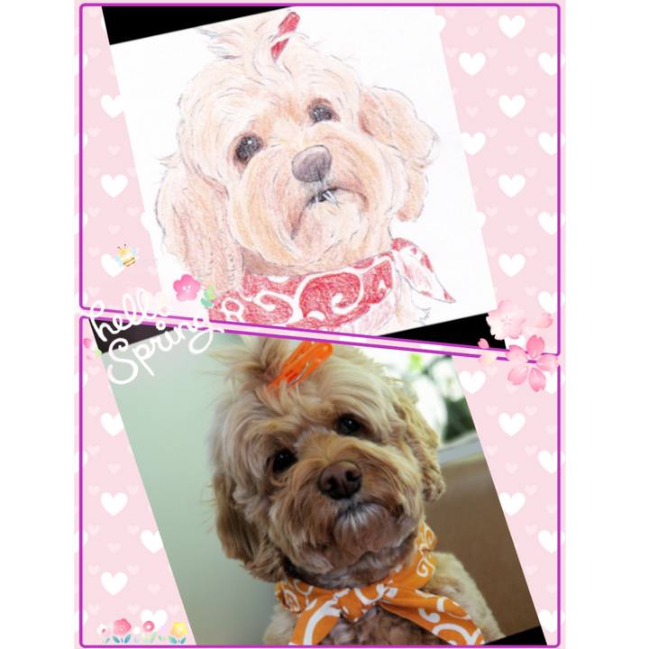 7f870b3a 1188 416b 94d7 2df428aa2e6d 1555571166103