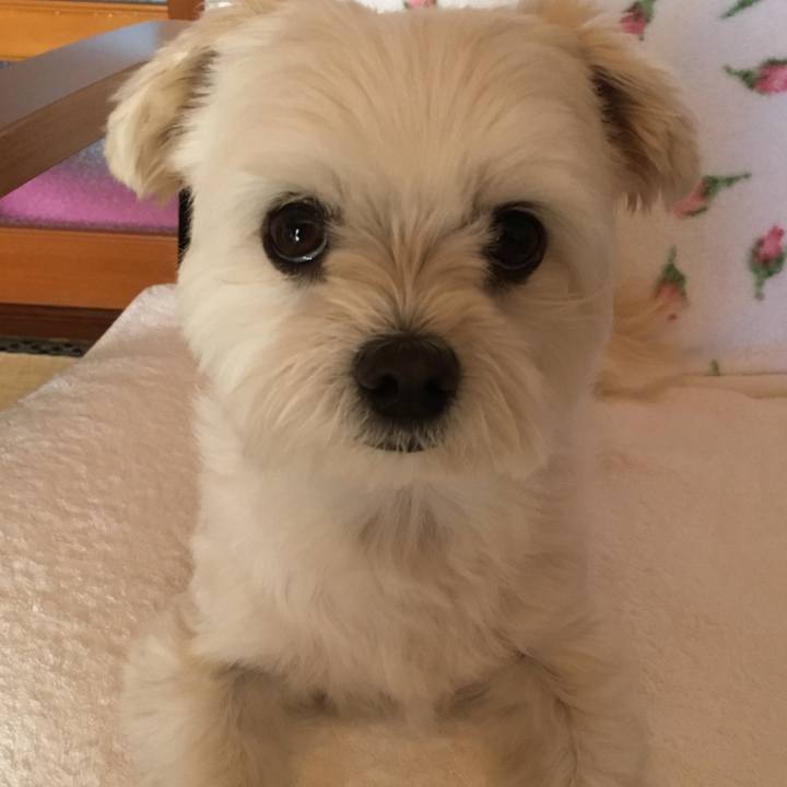 7f871f25 0729 460a 9d60 4412785d82a6 1527834296751