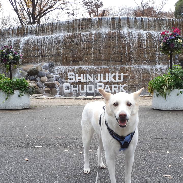 7f87343c 5c4f 4fd6 b82e a4d18eb31e2d 1671258851756