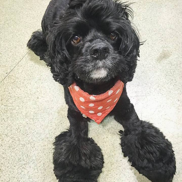 7f876ddc 85b5 4dde b328 943d8ee36101 1533630198937