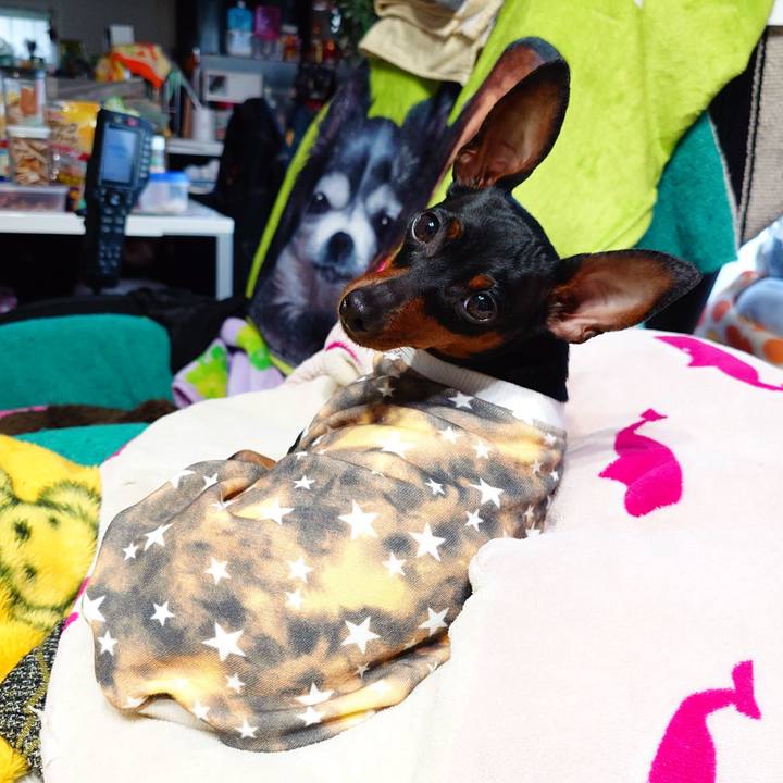 7f876e9c bdc8 488b 8306 ba9c4a0c09a1 1759824444254