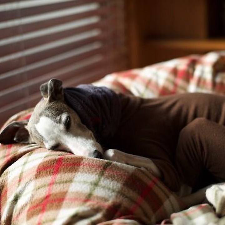 7f877864 2f2c 4a1b afb9 ddf5629bb724 1521107044563