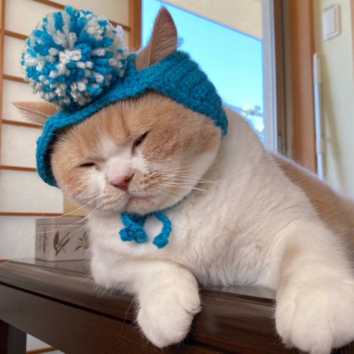 7f879e25 f2a5 4e99 b695 76c99d29d8f3 1603338882687