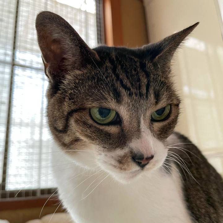 7f87aafb 29de 400f 9414 283cb8f37446 1633054222845