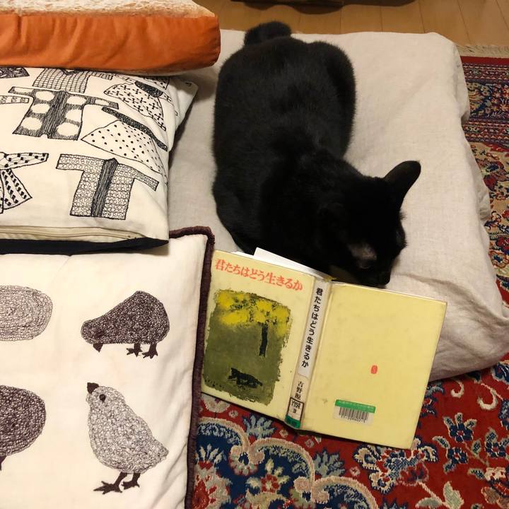 7f87e9fc 0b78 488e 8f22 7a3001f4e621 1544187167628