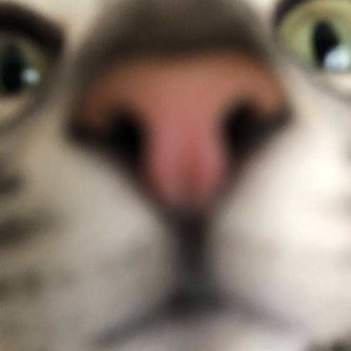 7f87f146 2944 4d18 86d5 44fc67d927d8 1526085611179