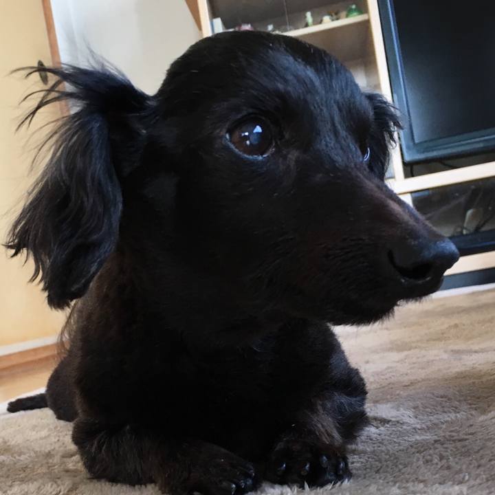 7f880ee8 6f20 447e b06b 2717e246f9ab 1551396729726