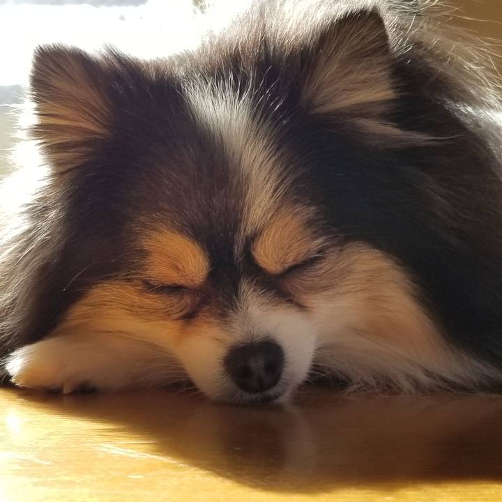 7f880fe3 e2aa 4359 9a36 44f7ebca750d 1550319030811