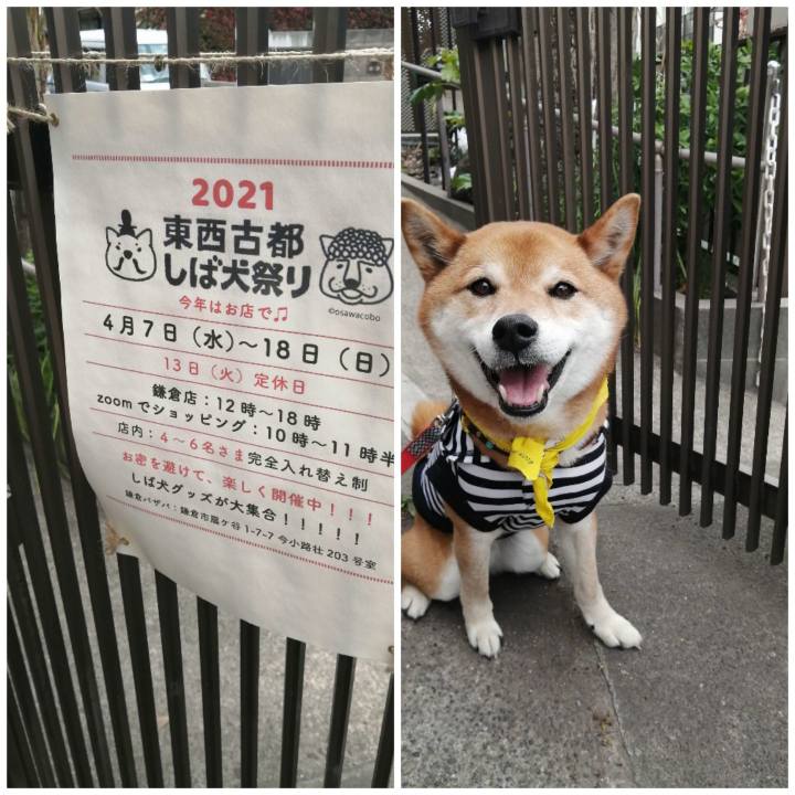 7f8814f8 9b8c 4c57 997d 95d2548caa87 1618573399028