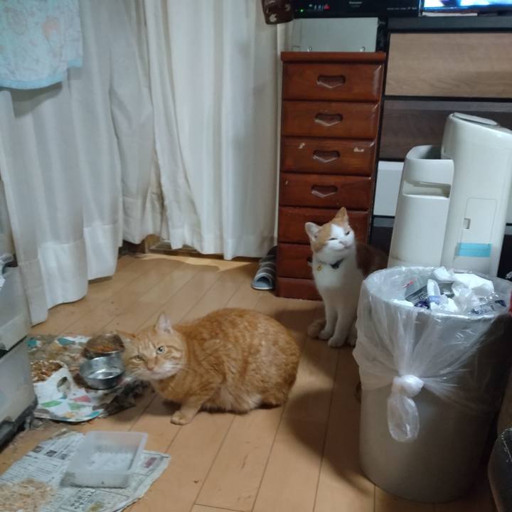 7f881555 86f3 4f40 ae04 da884063fb1c 1765321320593