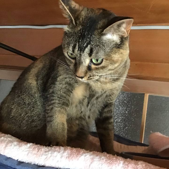 7f88159a 6e41 41f7 a706 245afba3328b 1688129552417