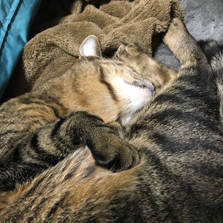 7f883232 ea1e 4c79 83ed e7363c61126e 1520422923237