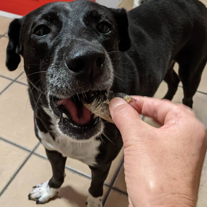 7f8872a0 62ba 4c83 8358 73462cc203a8 1659784787218