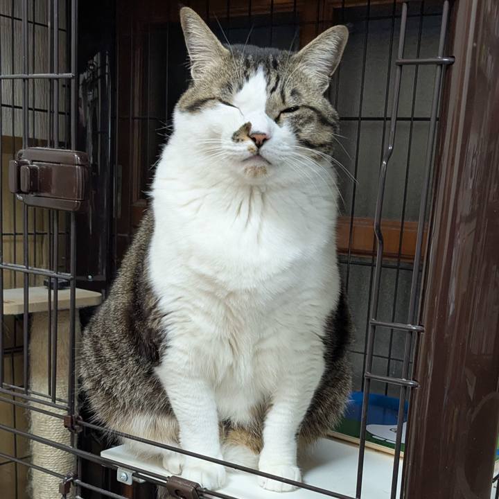 7f887c1b 952e 4ae8 ac81 2e855c640a17 1770722341197