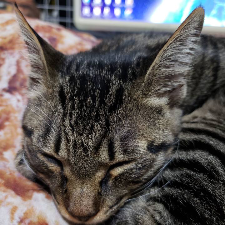 7f88b45a 6d4b 4cc4 9589 2e2ce7a02f5b 1542440057178