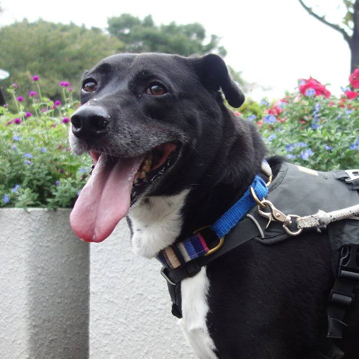 7f88bec8 a2a6 4248 aef6 0316da0d35f3 1662162840376