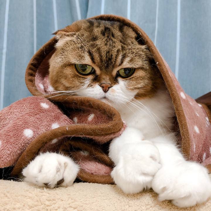 7f88ce33 29c6 41b3 b305 bf9a98955e7a 1571570882559