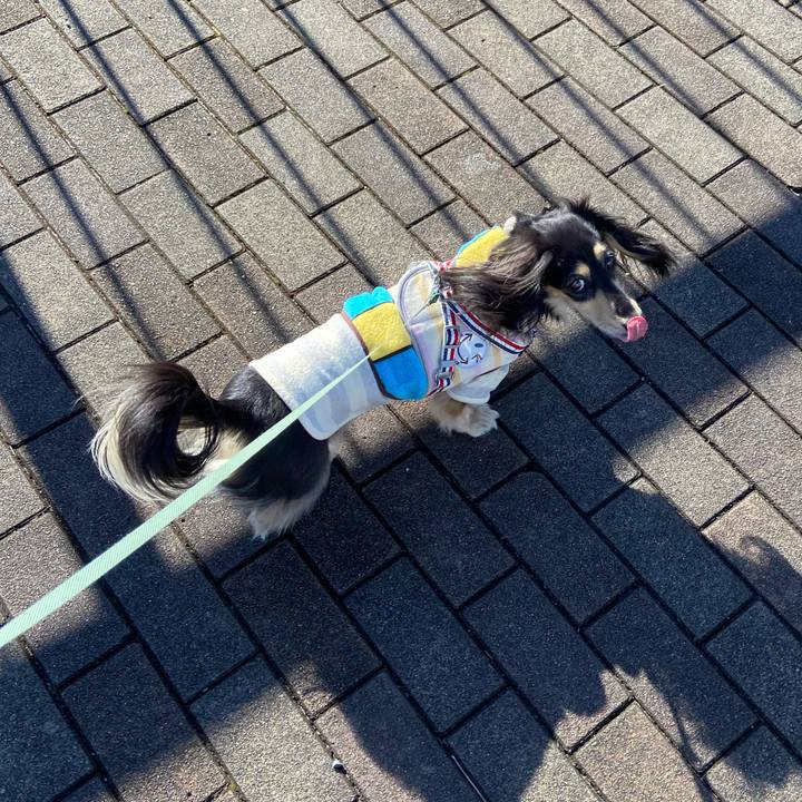 7f88f342 a35f 4f25 a579 a5810f177bbd 1736334929036