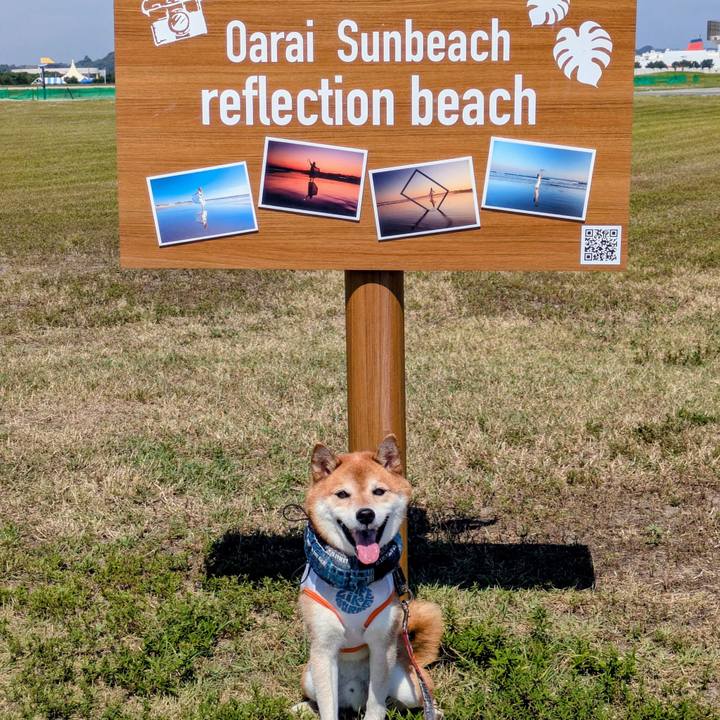 7f892440 ec17 4561 a14e b1abf0b71fa4 1757419203385