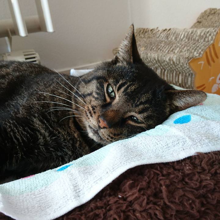 7f892f7b 1116 4dac 97fa 60017c15139a 1548914664299