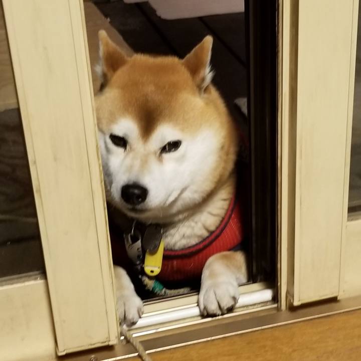 7f8945de 4a2b 4ace 812d c15bac8c1daf 1555235532445