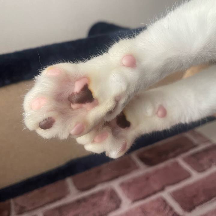 7f896d7b 9bba 4d52 b5df 946d34d80df3 1716362674985