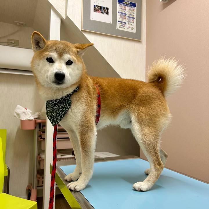 7f89a81b ad09 49ad b1b1 15e1506679d4 1707380489054