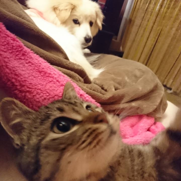 7f89d94d ff0e 4888 b289 a1c28a16e09f 1551129356794