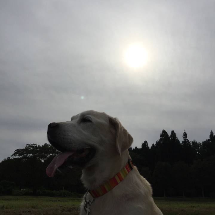 7f89db17 8850 4ba9 b934 9f4a45efe11a 1567583429147